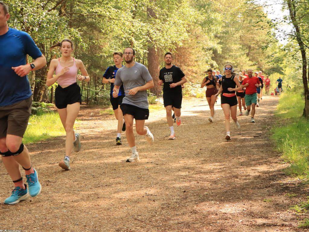 កីឡាវាយកូន: ការបង្ហាញពីចំណេះដឹងនិងជំនាញ